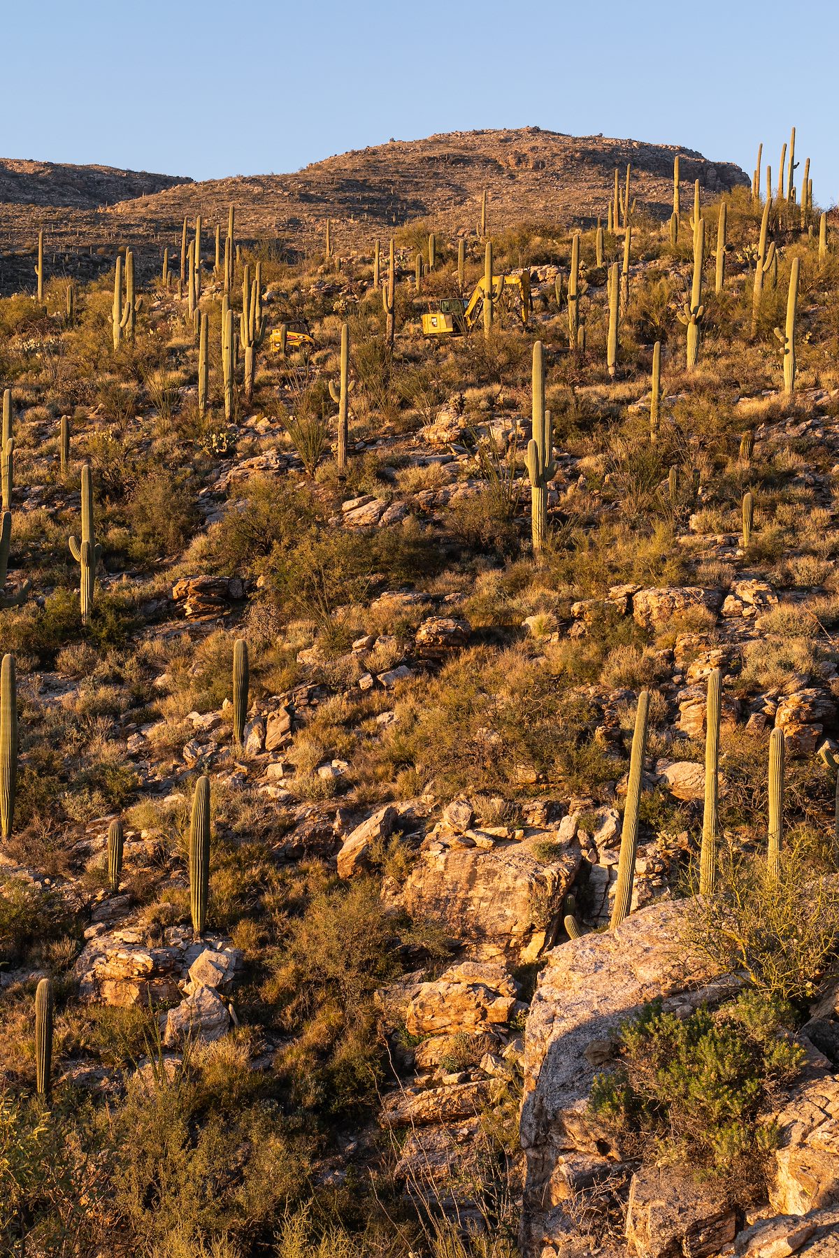 2020 January Roadwork Machines in the Sunset Light