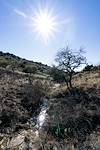 2020 January Sun Reflecting in a small Drainage off the La Milagrosa Trail