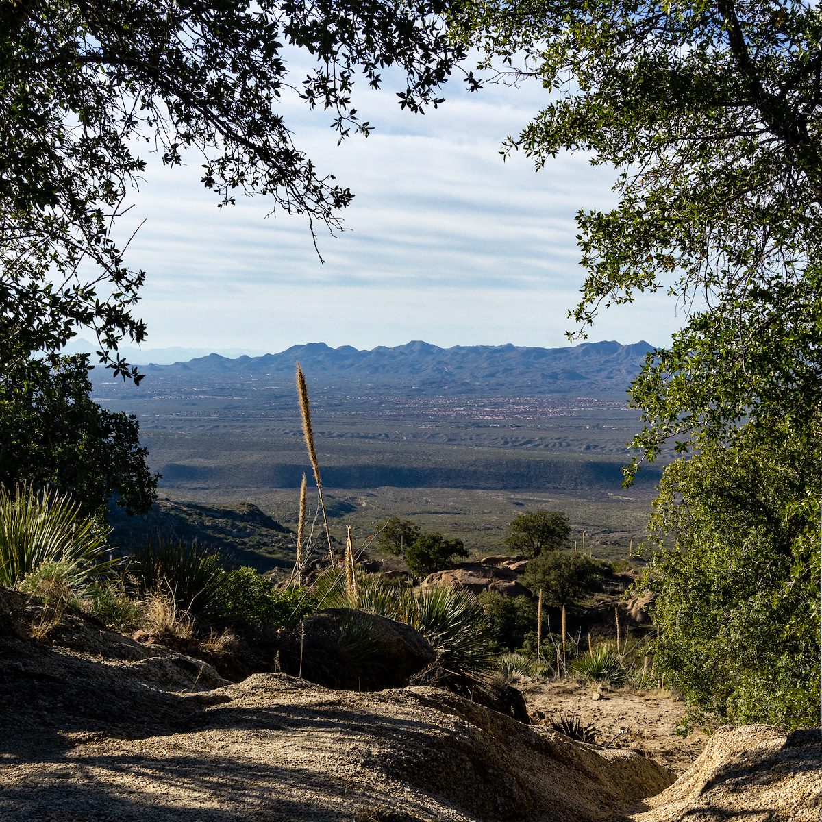 2020 January Sutherland Trail below the Trailhead