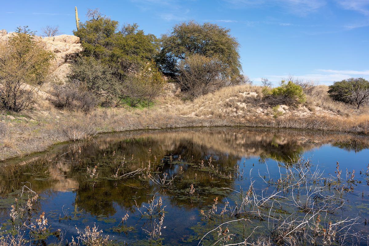 2020 January The Lake on the Arizona Trail near the Bellota Ranch Headquarters Road