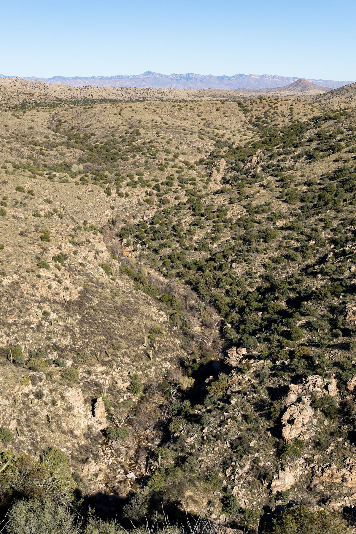 2020 January View from Point 4131 between La Milagrosa and Agua Caliente Canyons