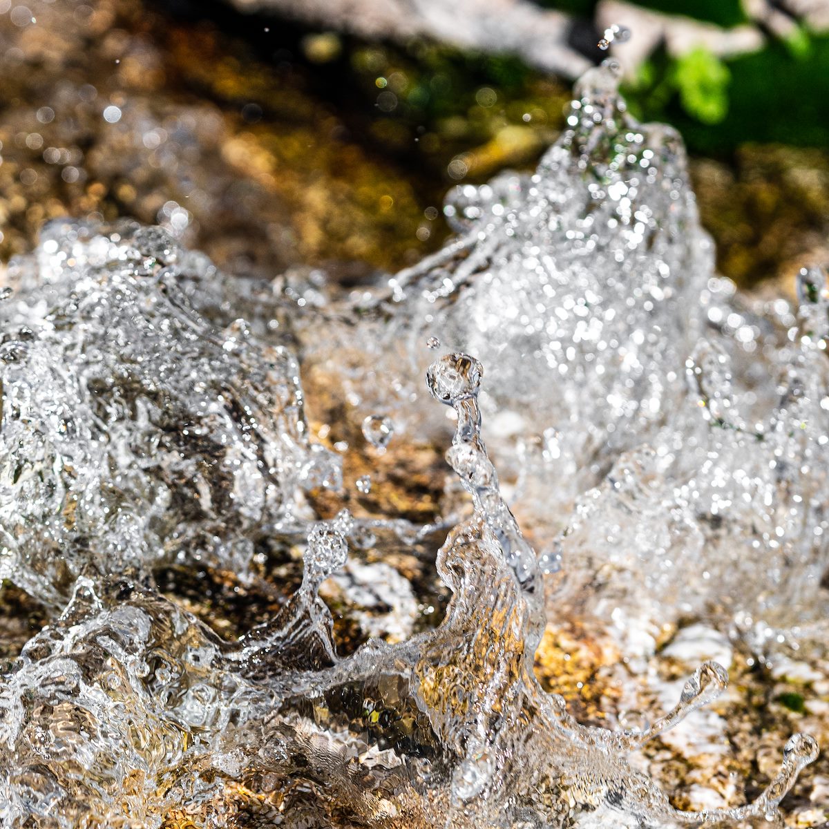 2020 January Water in Agua Caliente Canyon