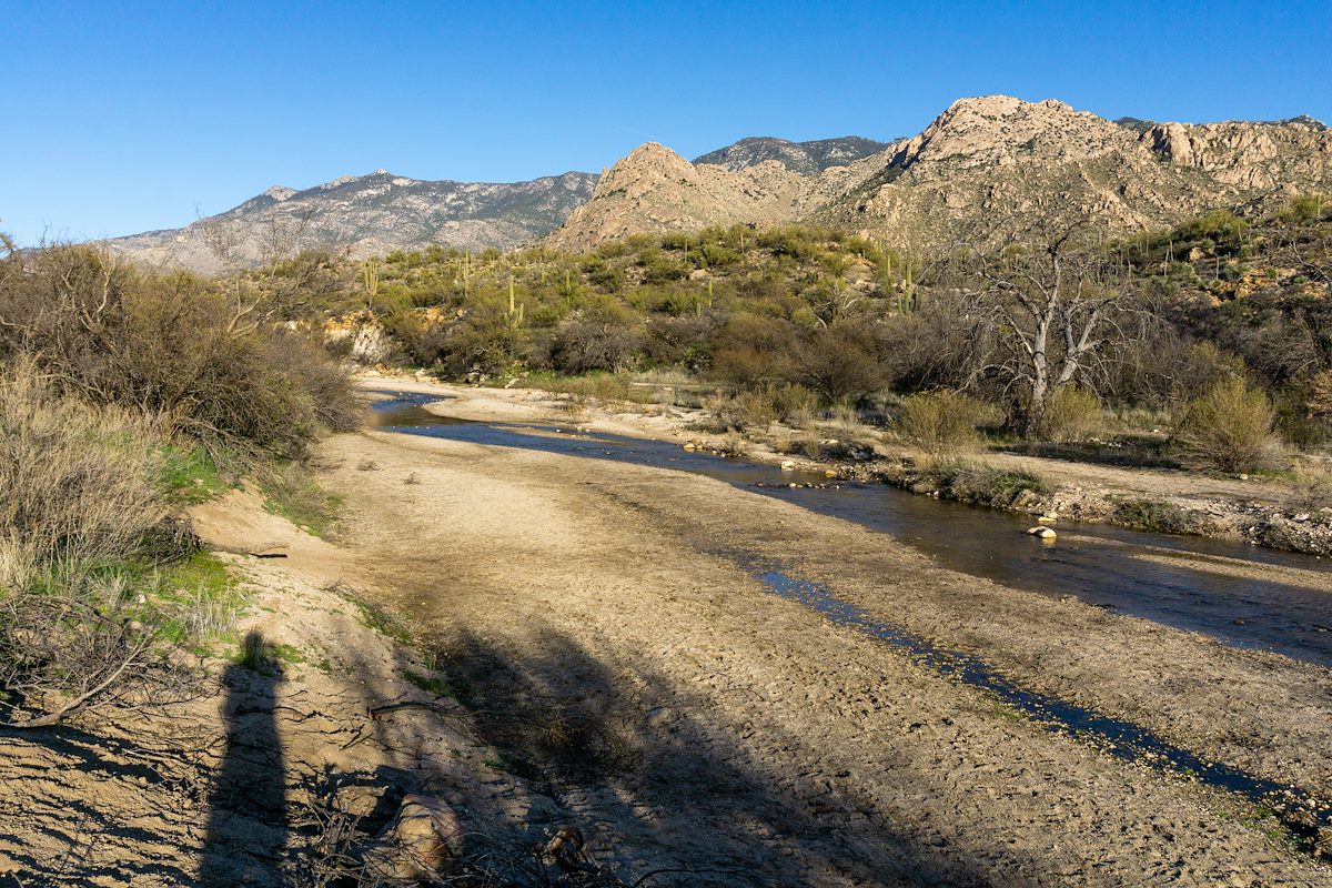 2020 January Water in Sutherland Wash in Catalina State Park