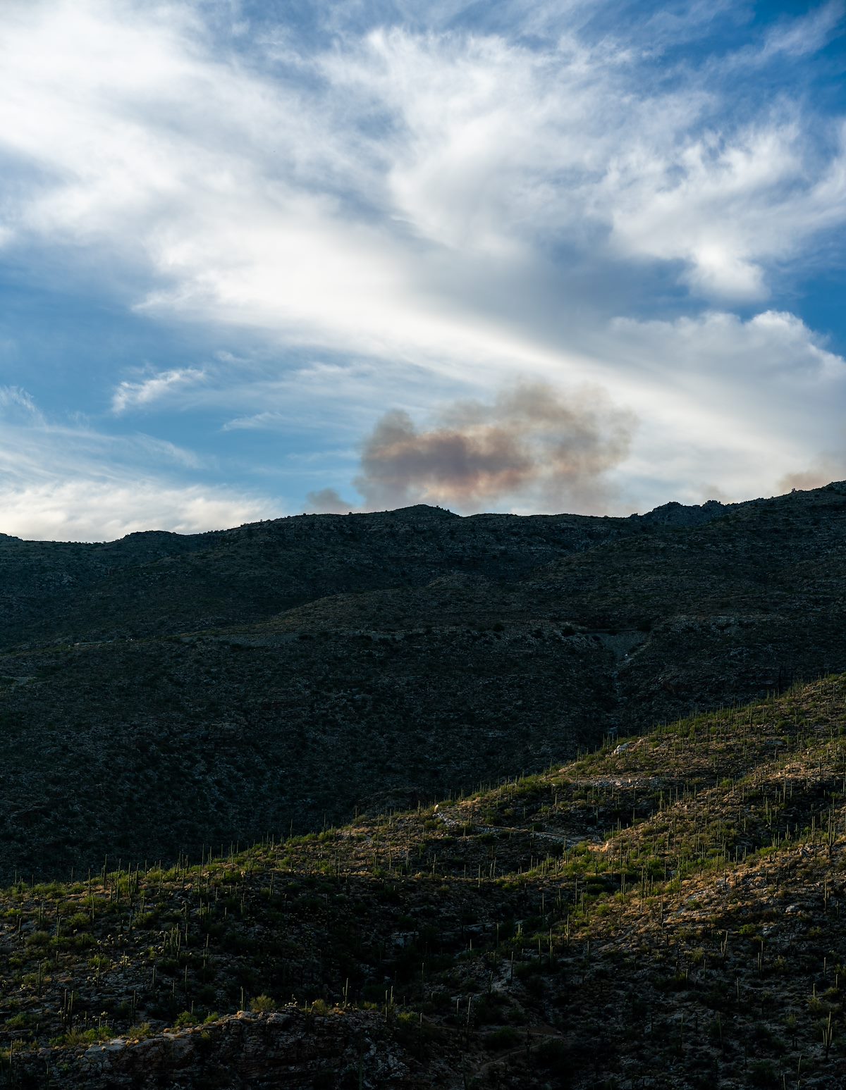 2020 June Smoke from the Bighorn Fire from the Agua Caliente Canyon Trail