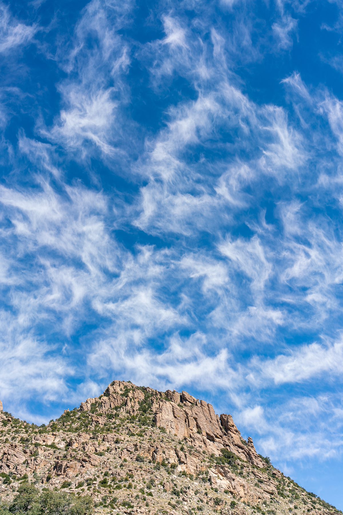 2020 March Lost Wall