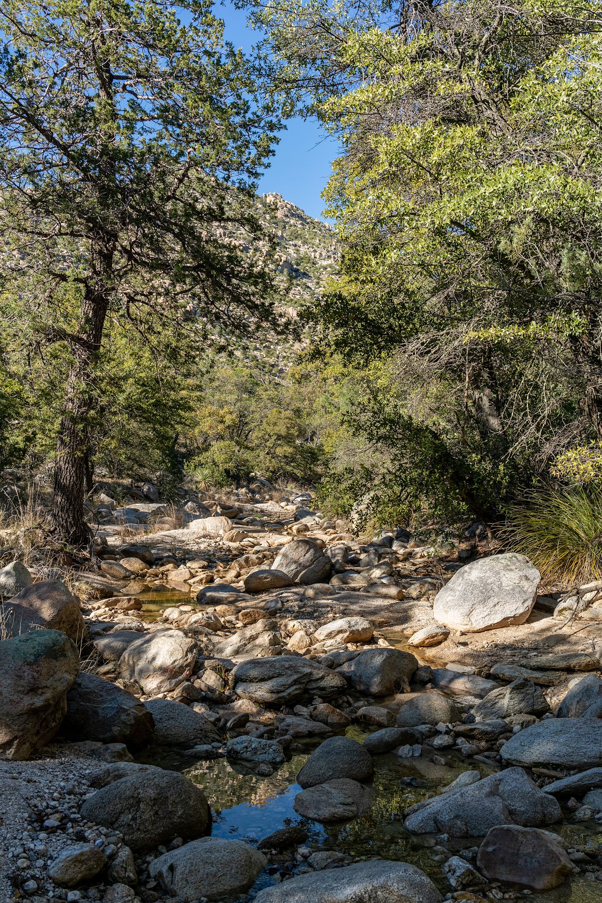 2020 March Molino Canyon