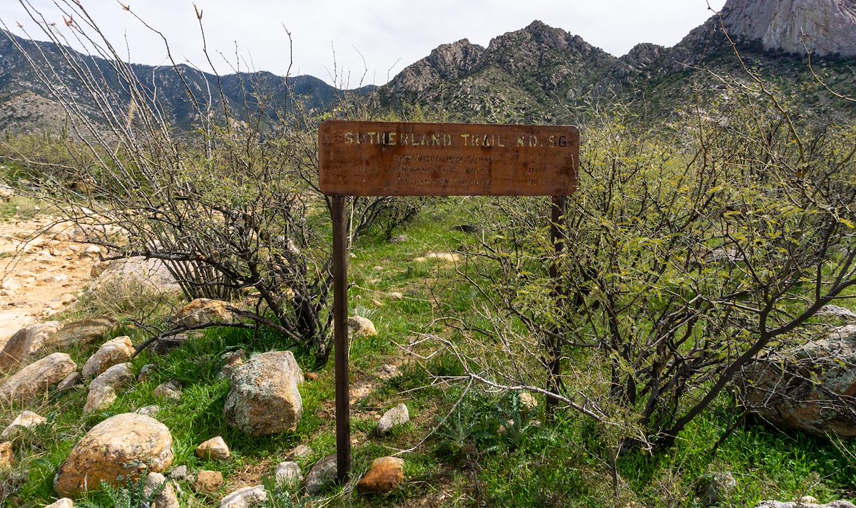 2020 March Old Style Sutherland Trail Sign