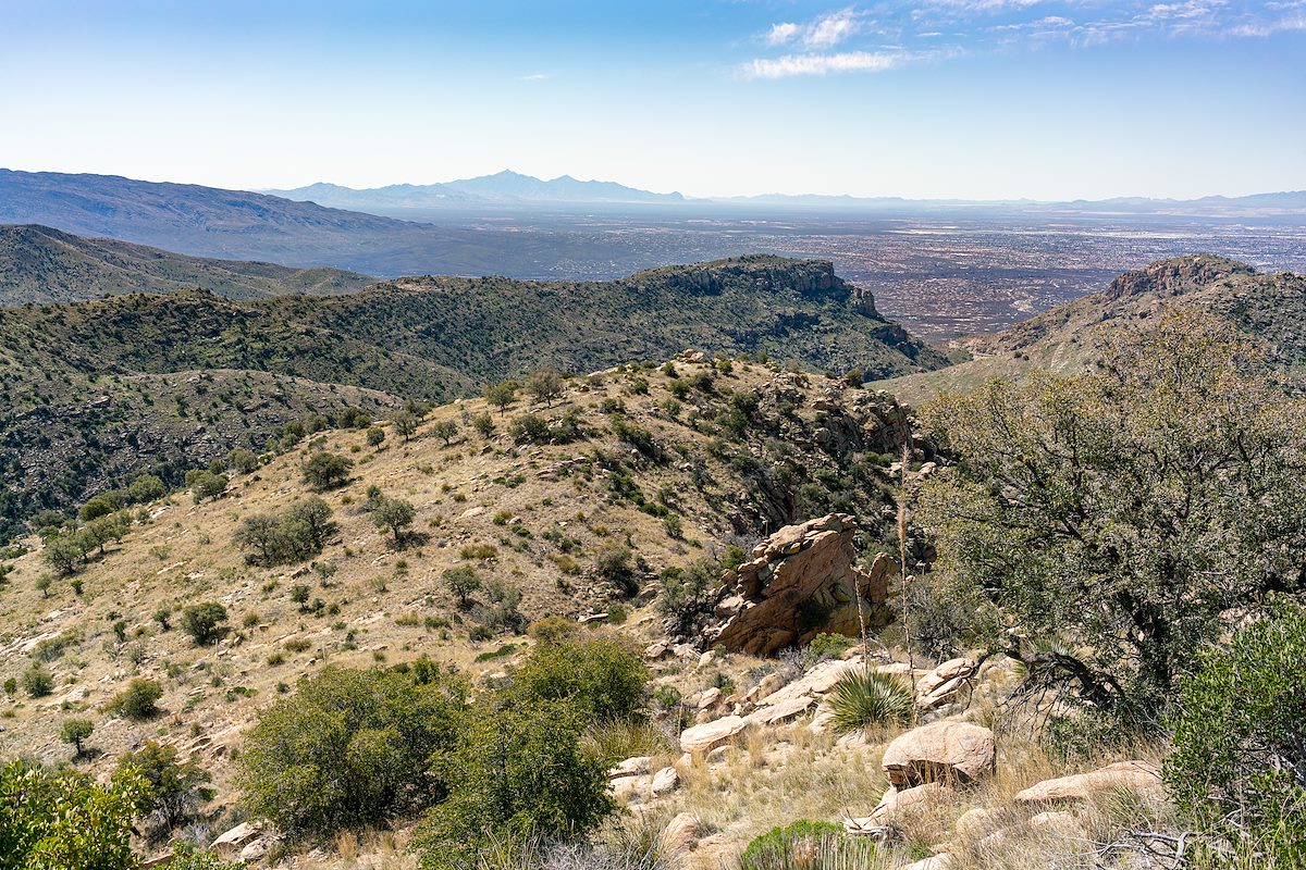 2020 March Ridge between Molino and the West Fork of Molino