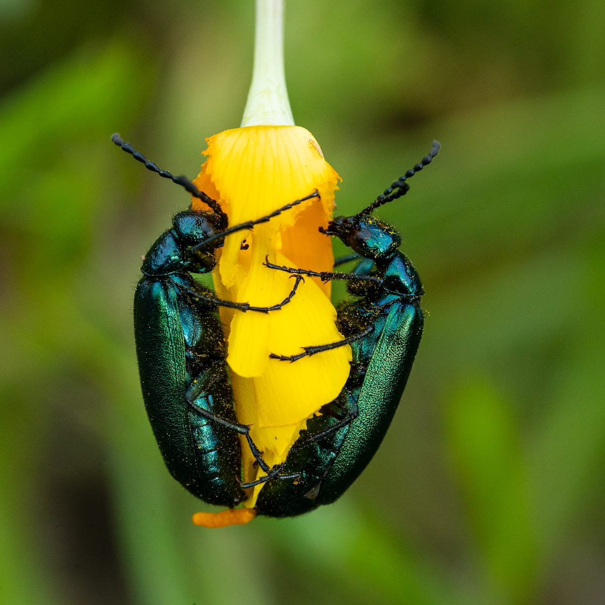 2020 March Sharing a meal