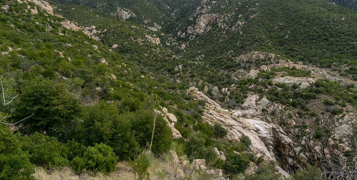 2020 March Sutherland Trail and Cargodera Canyon area before the Bighorn Fire