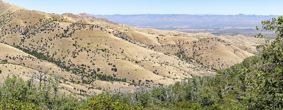 2020 May View from the Brush Corral Trail