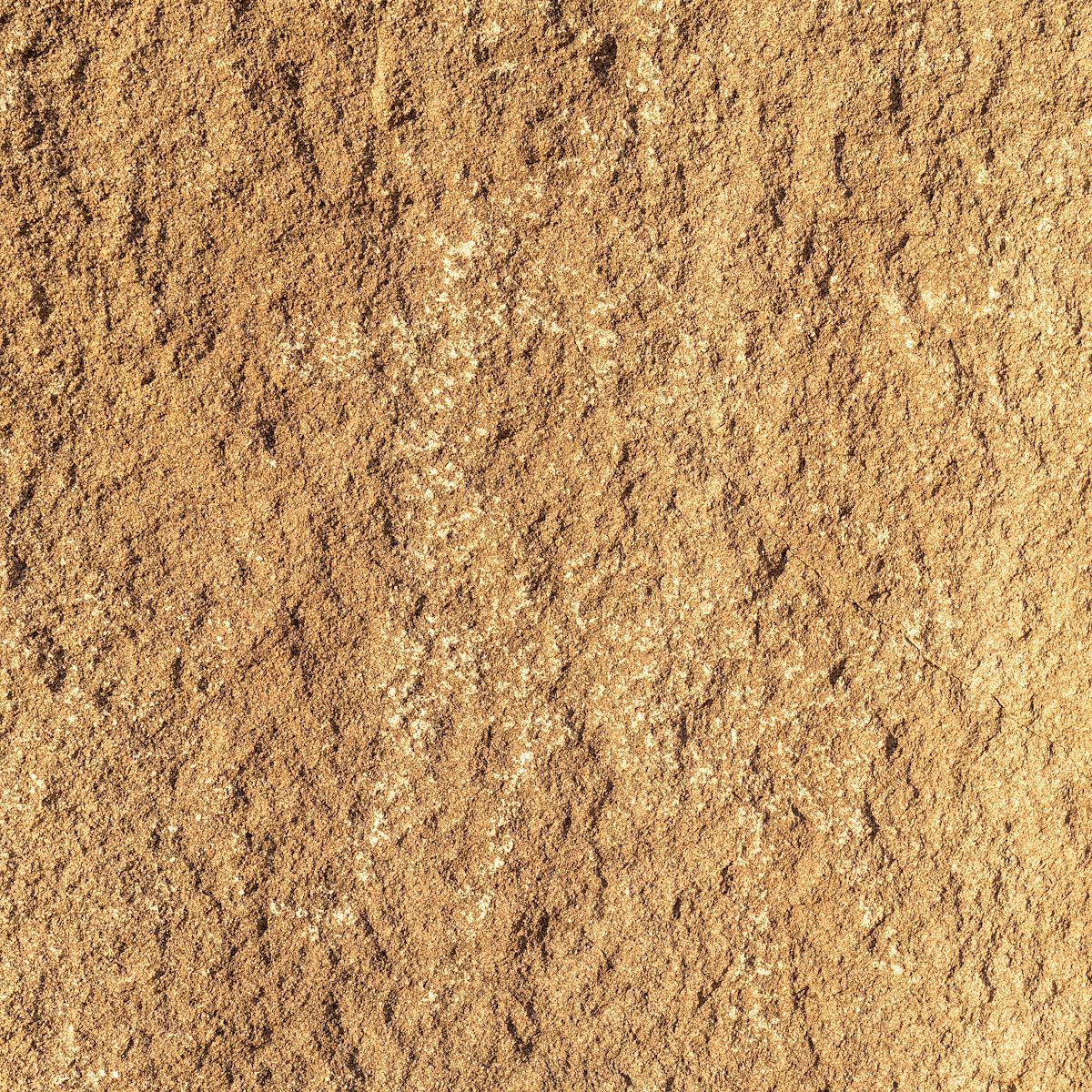 2020 November Faint Hints of the Past