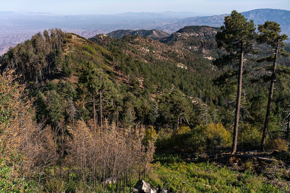 2020 October Kellogg Mountain to Green Mountain from Mount Bigelow after the Bighorn Fire