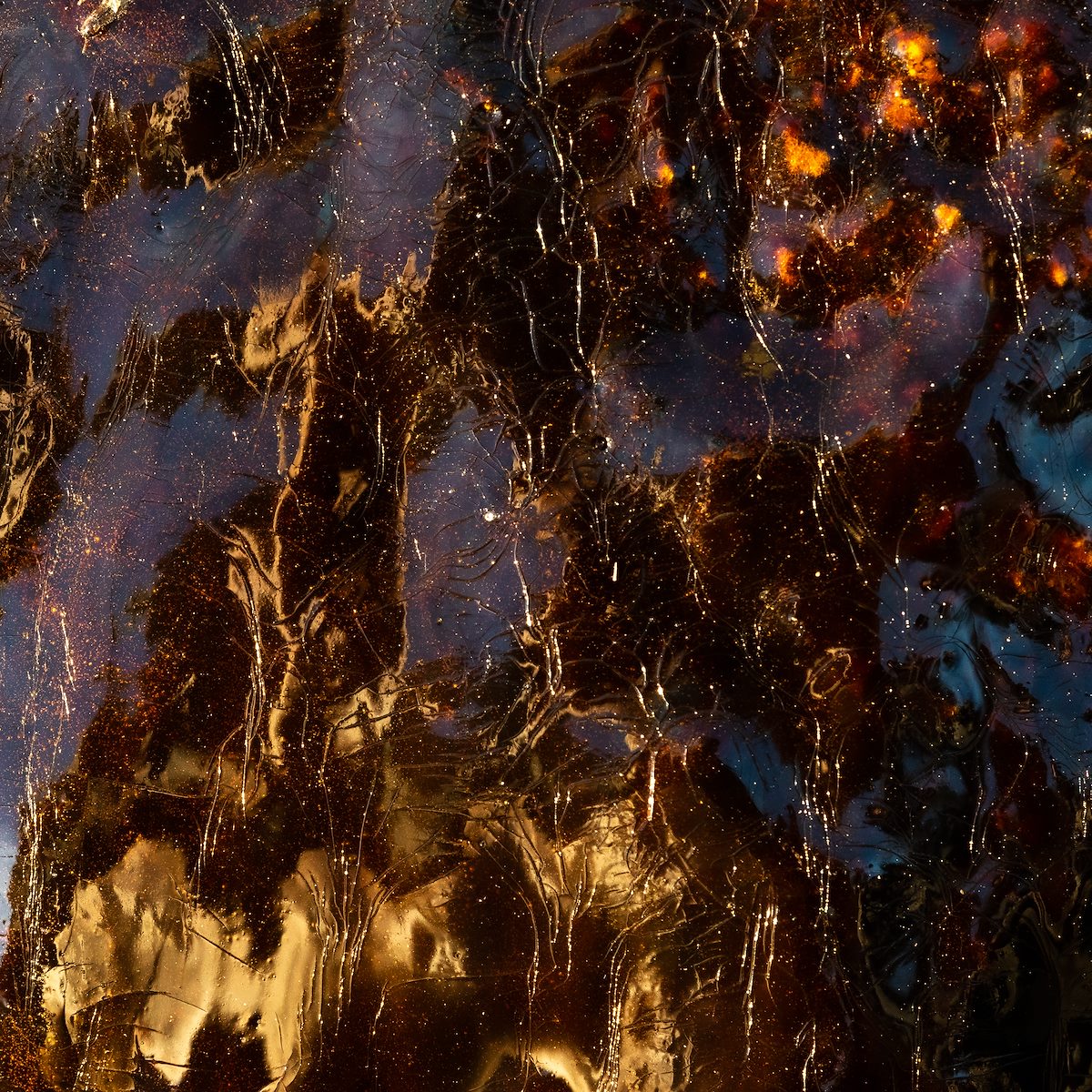 2021 January Saguaro Blood 01