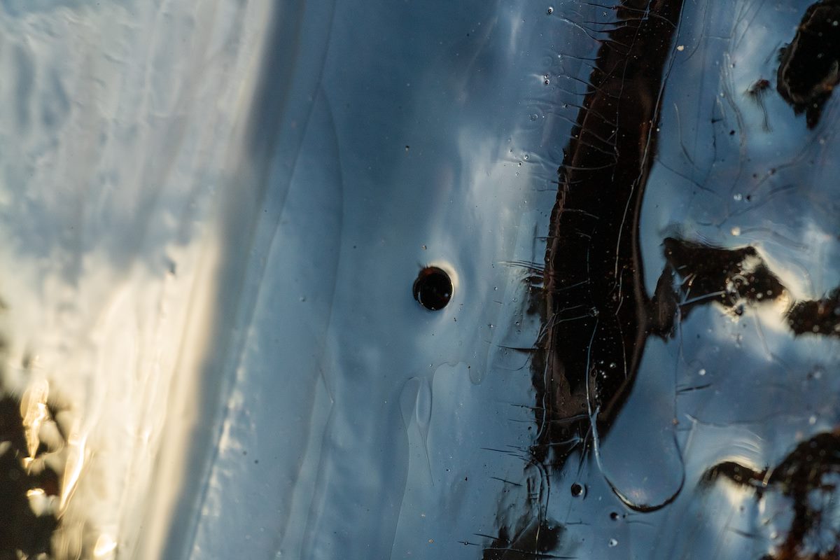 2021 January Saguaro Blood 05