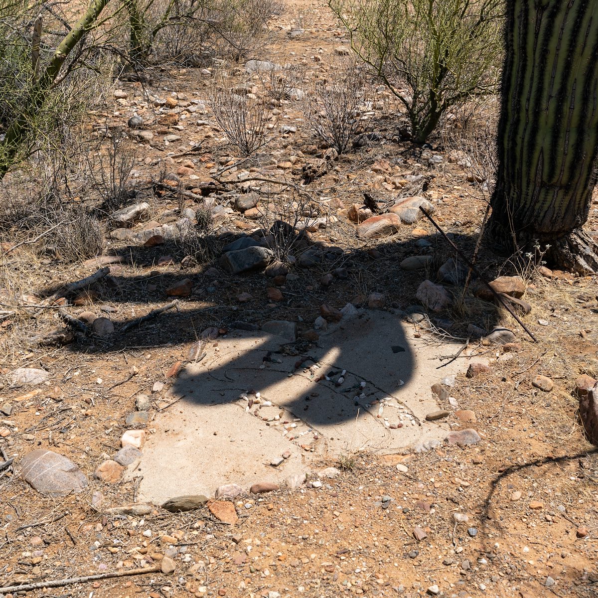 2021 May Franks Road