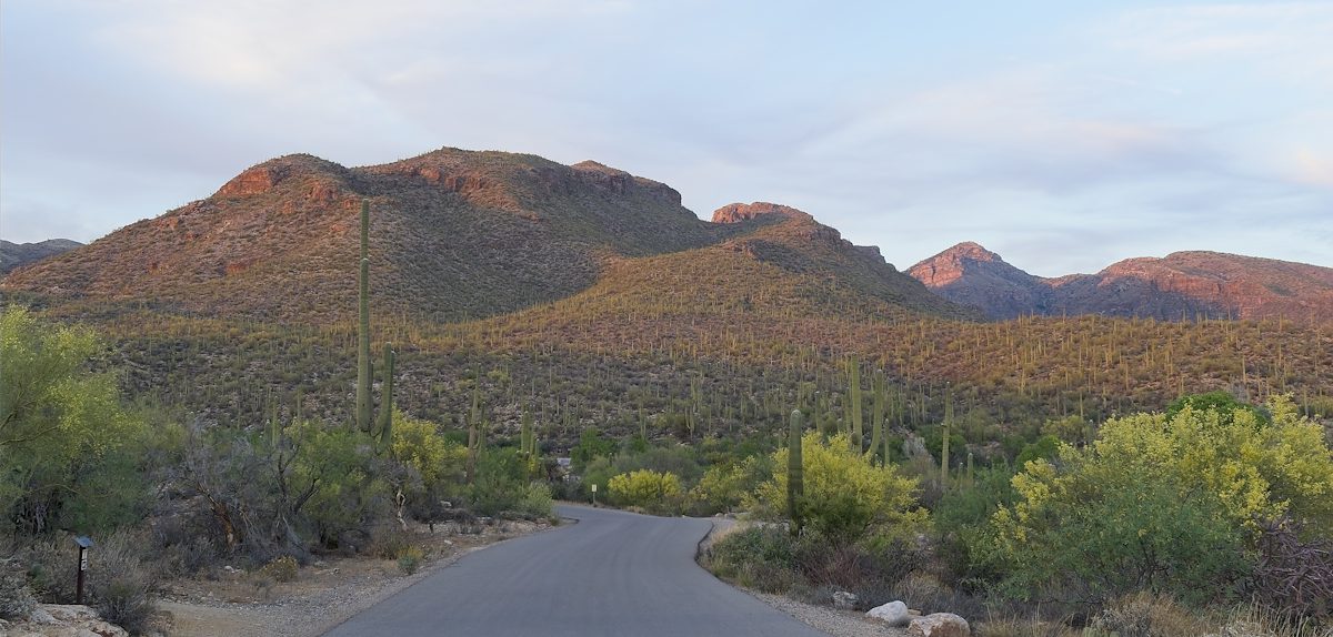 2026 April End of the Day in Sabino Canyon
