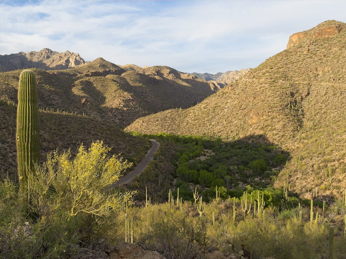 2026 April Looking Up Sabino Canyon from the Stone Tank