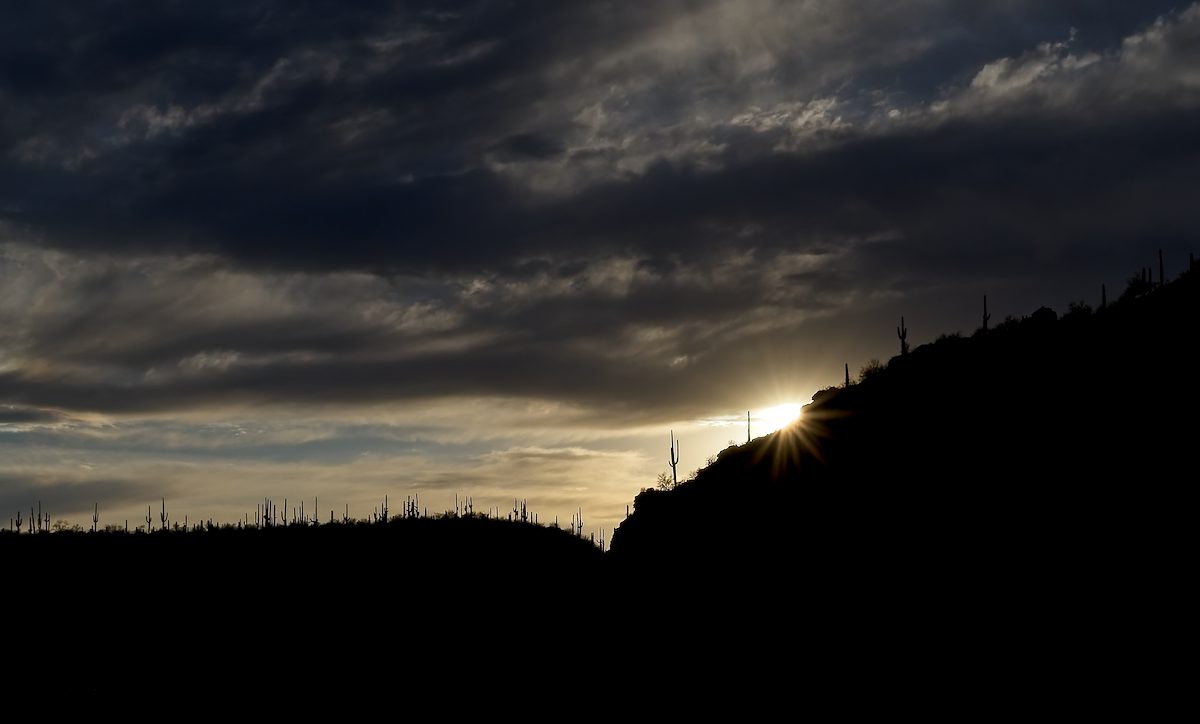 2026 March Distant Ridge of Saguaros