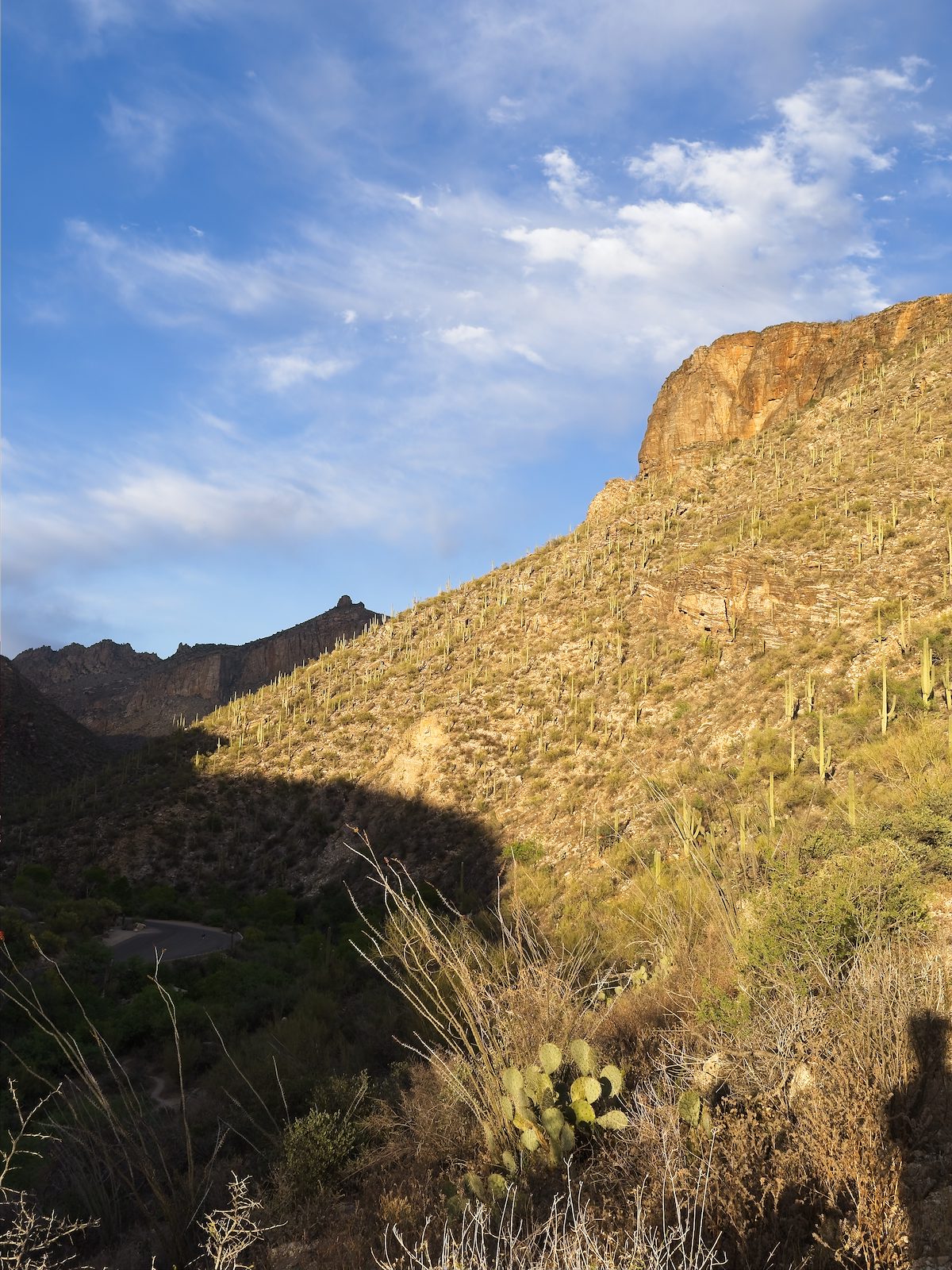 2026 March End of the Day Shadows Covering Sabino Canyon