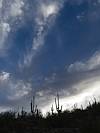 2026 March Saguaro and Clouds
