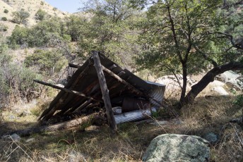 1403 Fallen Shelter along the South Fork of Edgar Canyon