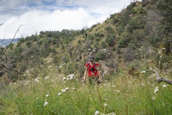 1309 Catalina Camp Trail