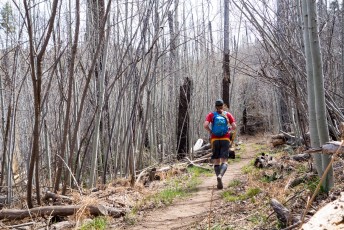 1404 Running on the Aspen Trail