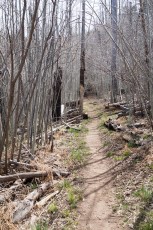 1404 Aspen Trail