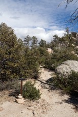 1402 Guthrie Mountain Trail at Bear Saddle