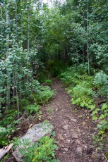 1409 Mint Spring Trail