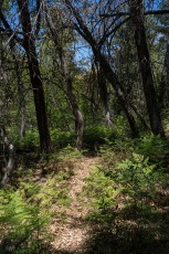 1705 CDO Trail