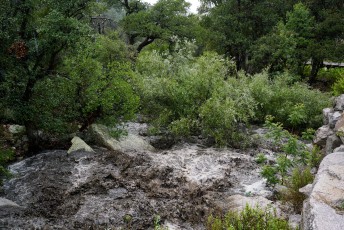1707 Rushing Water in Bear Canyon 02