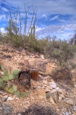 1308 Old utility pole along the Soldier Trail