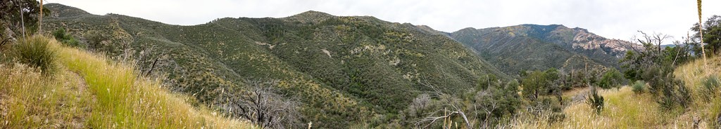 1510 View from the Catalina Camp Trail