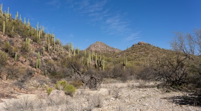 2024 02 Colossal Cave Mountain Park