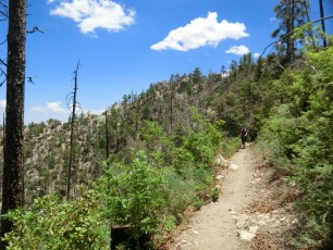 1206 Green Mountain Trail