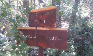 1206 Box Spring Trail Sign near Sabino Canyon