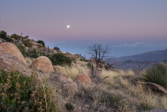 1403 Moon from Gibbon Mountain