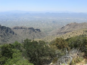 1205 Looking back down into Pima Canyon