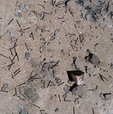 1609 Nails and Debris in the Old Tank across the highway from Prison Camp
