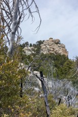 1405 Lemmon Rock Lookout from the Lemmon Rock Trail