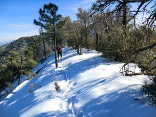 1212 Snow on the Guthrie Mountain Trail