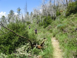 1208 Red Ridge Trail