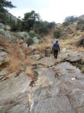 1212 Small drainage east of Pontatoc Canyon